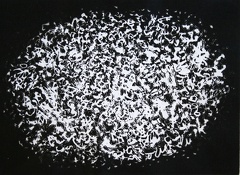 1982, 180×240 mm, kreslení do emulze filmu, nesig.